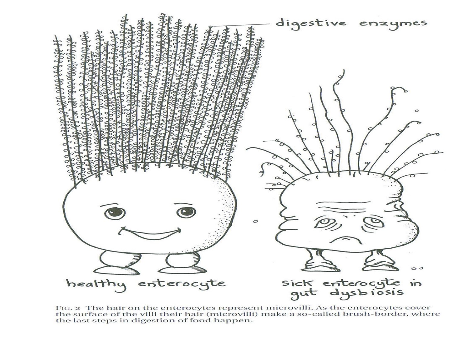 491dd9_02f913aa2f6b4088af8c9a239299dce3_mv2