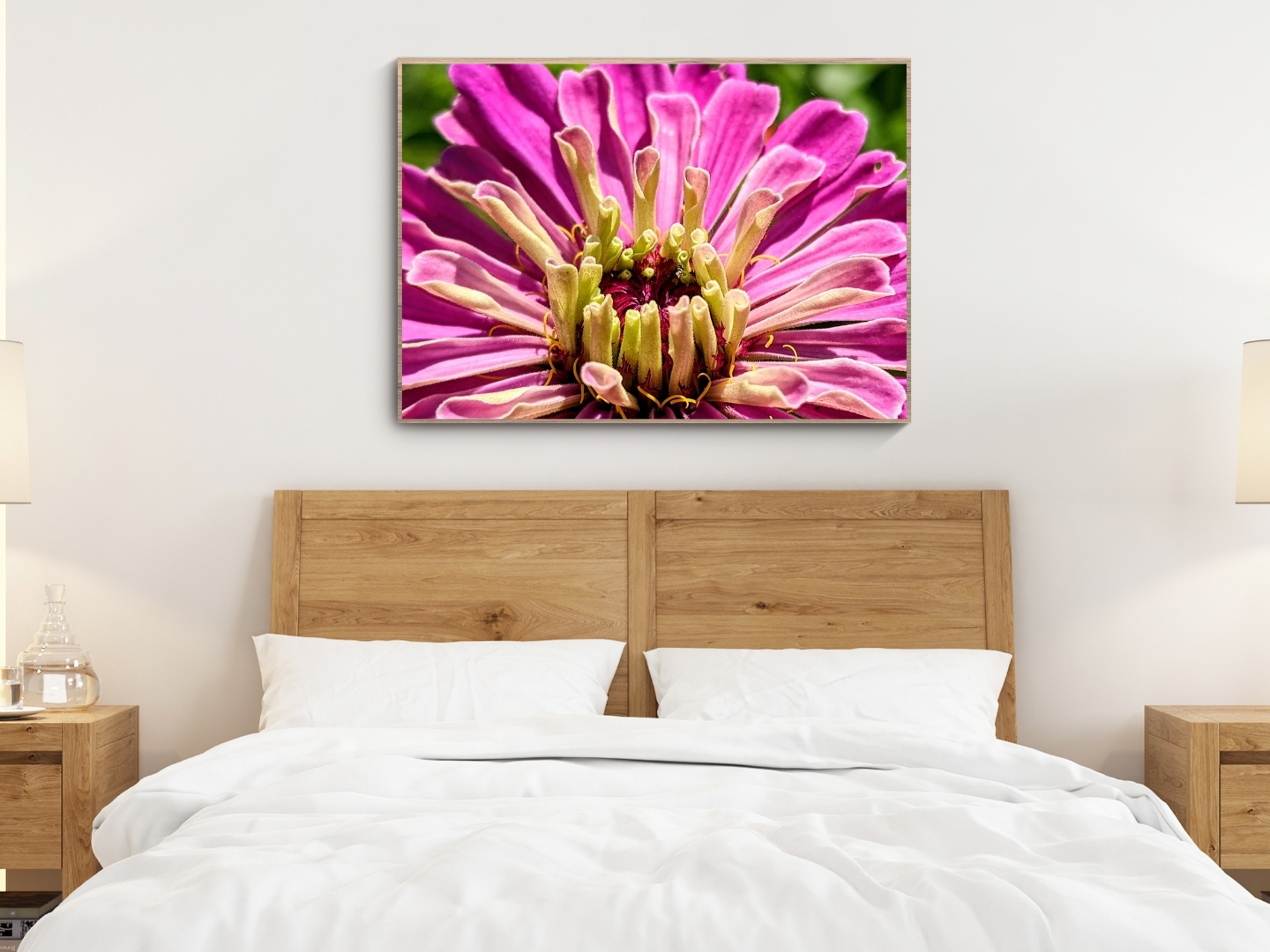 Bubblegum Pink Zinnia - Floral Photography Digital Print - Image 2