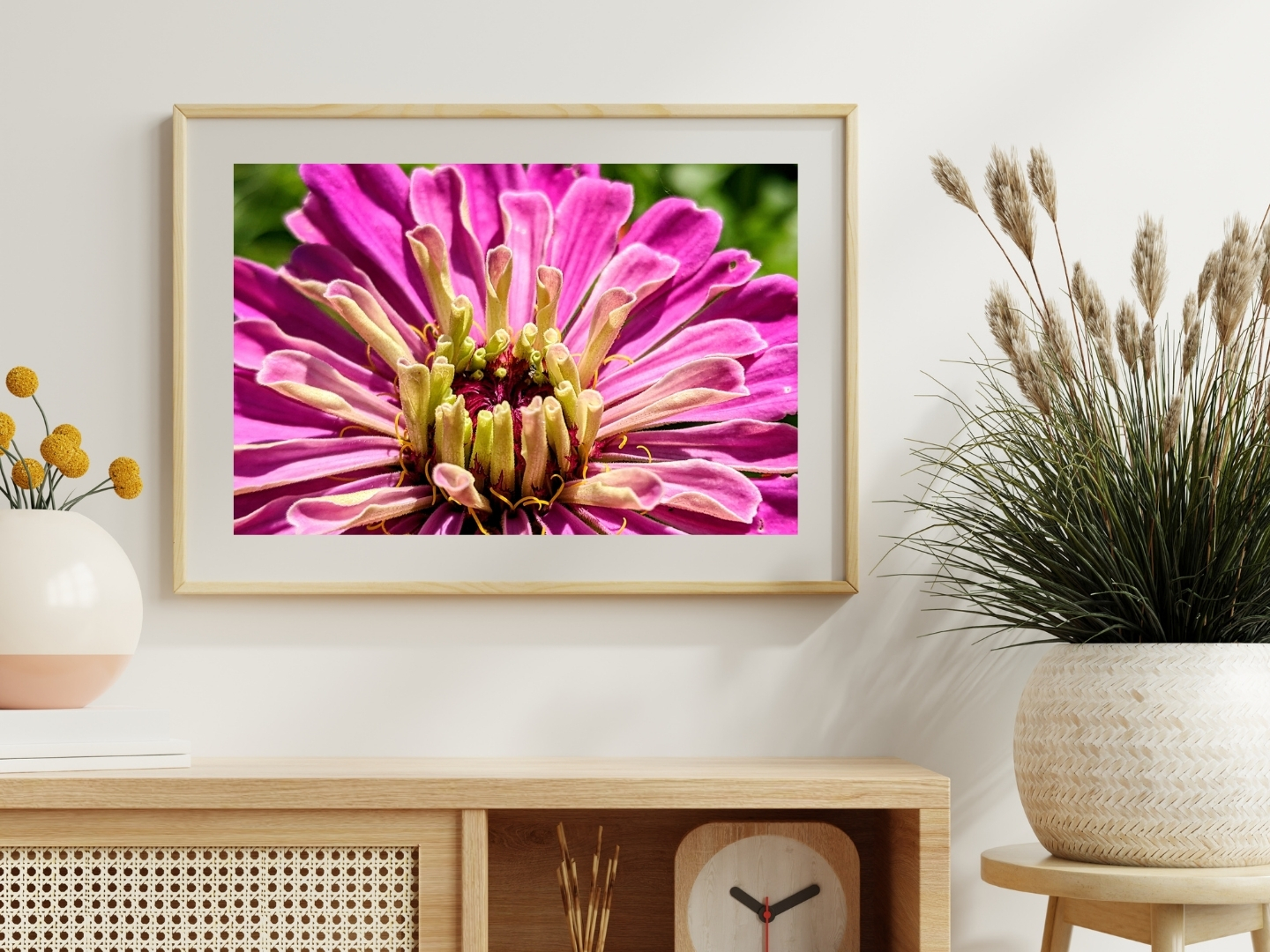Bubblegum Pink Zinnia - Floral Photography Digital Print - Image 3