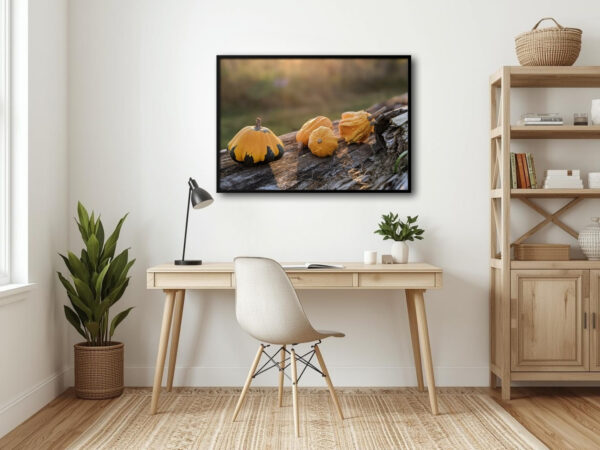 Drowsy Pumpkins 1