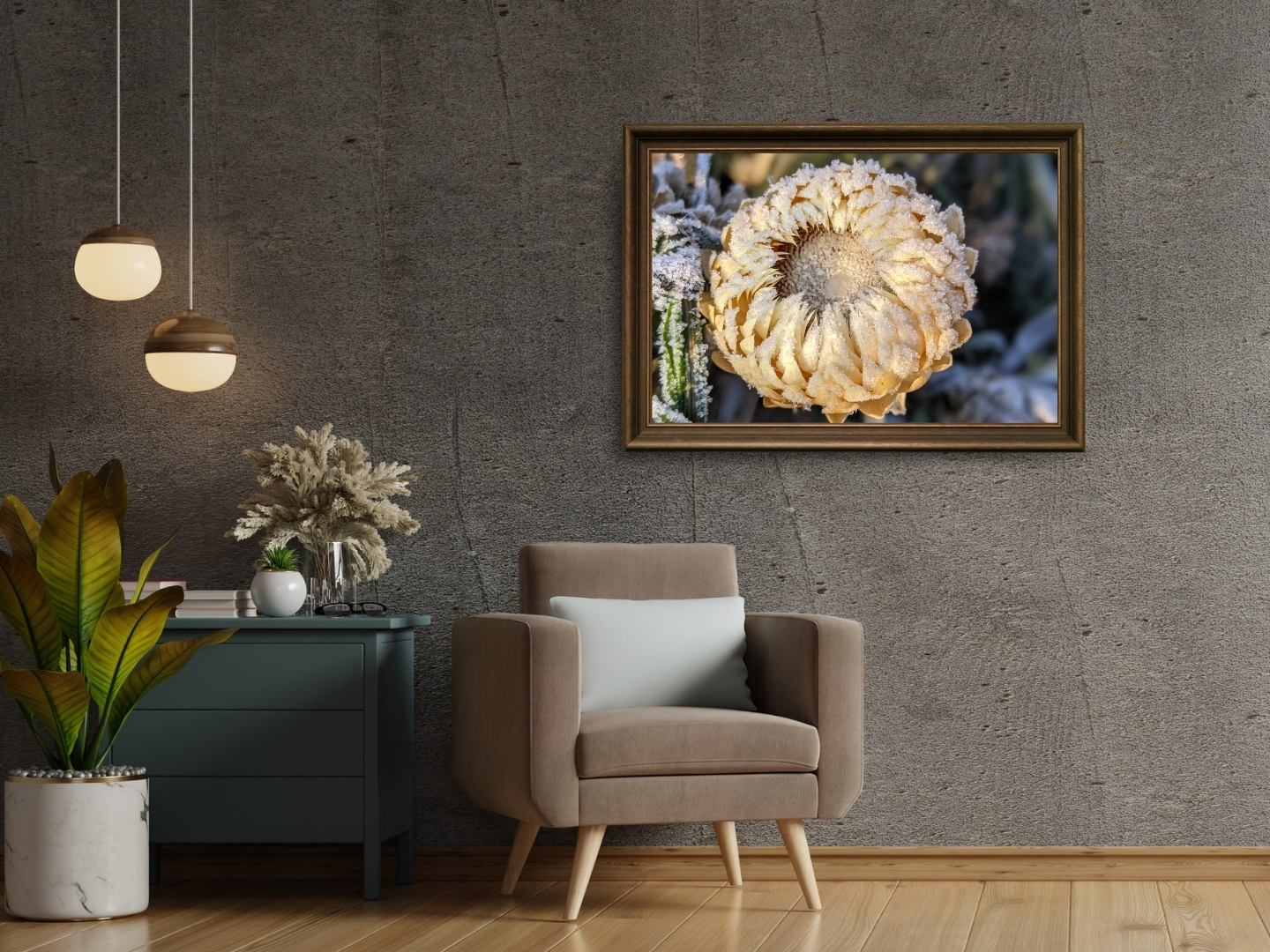 Ice Queen Strawflower - Floral Photography Digital Print - Image 3