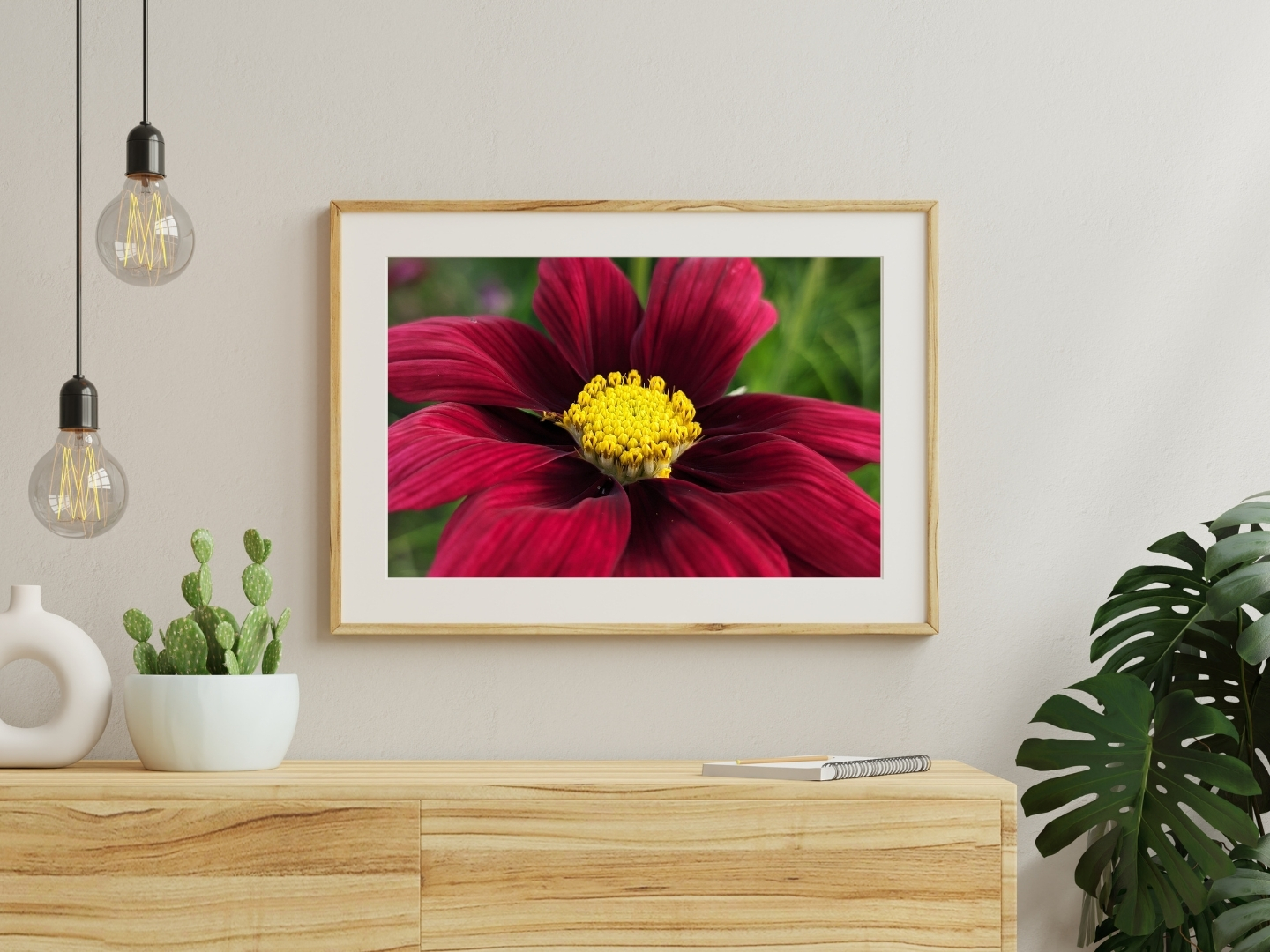 Ruby Pop Cosmo - Floral Photography Digital Print - Image 2