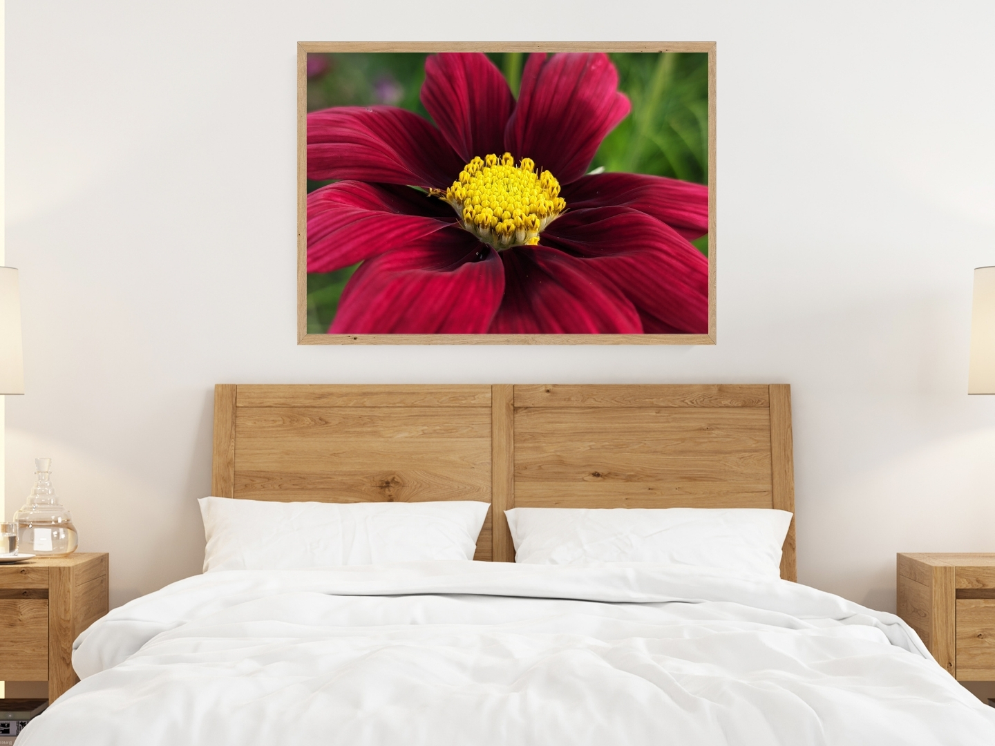 Ruby Pop Cosmo - Floral Photography Digital Print - Image 3