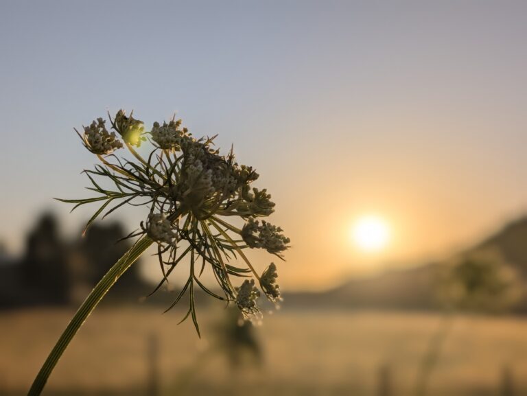 Humility Begins With Surrender